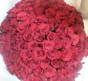 купить 101 красную розу
