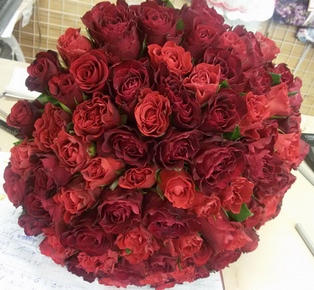 купить 101 красную розу