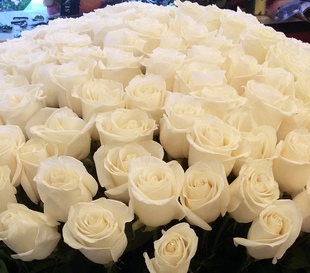 купить 101 белую розу