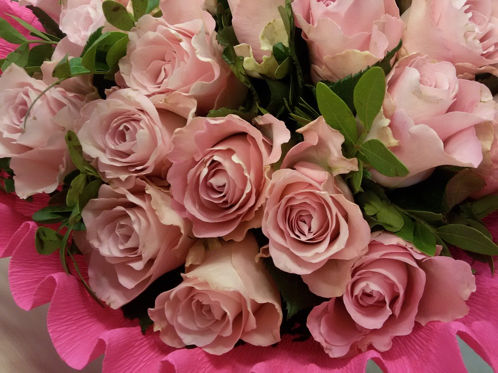 25 розовых роз, премиум сорт Энгажемент
