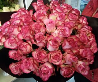 купить 51 отличную розу в СПб