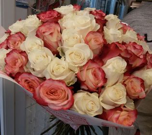 купить 51 красивую розу в СПб дешево