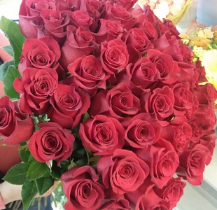 купить 51 красную розу
